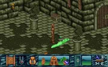 Tower of Souls (AGA)_Disk1 screen shot game playing